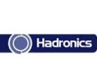hadronics